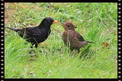 IMG_0819 IMG_0819