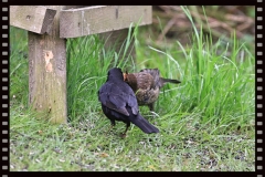IMG_0849 IMG_0849