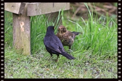 IMG_0852 IMG_0852