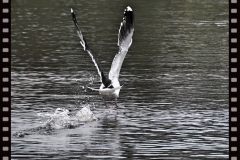 Landeanflug Landeanflug