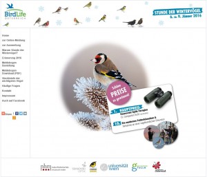 Birdlife Stunde der Wintervögel 2016