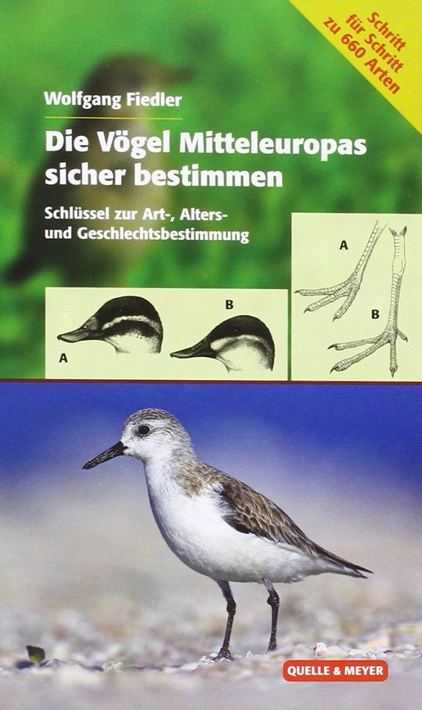 Die Vögel Mitteleuropas sicher bestimmen