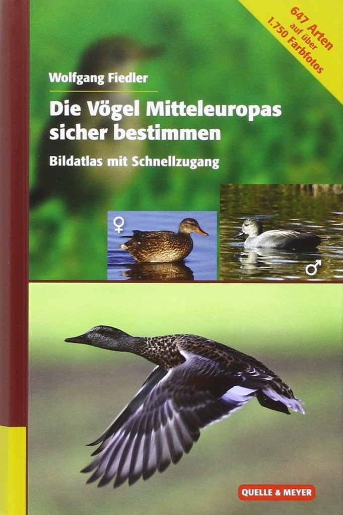 Die Vögel Mitteleuropas sicher bestimmen