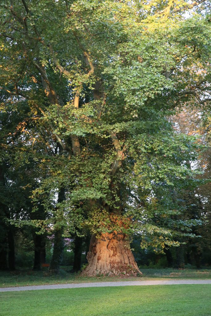 z-schlosspark-pottendorf-5