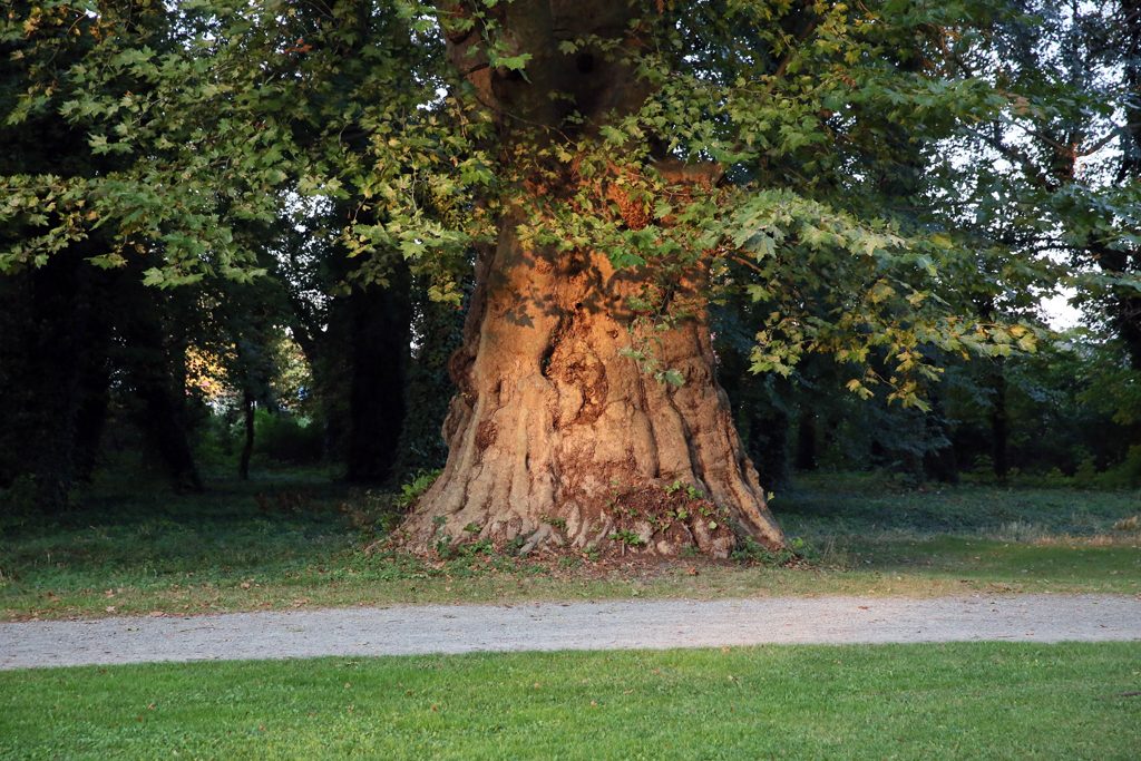 z-schlosspark-pottendorf-6